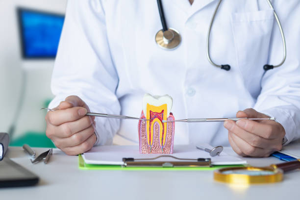 Best Dentist for Tooth Abscess  in Gruver, TX